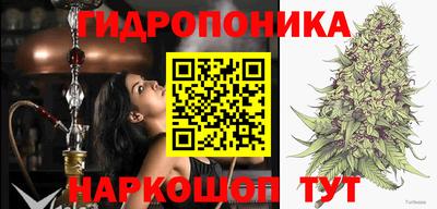 твердый Можга