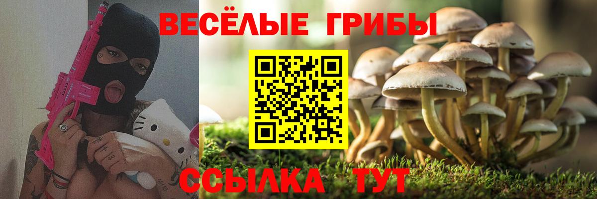 Галлюциногенные грибы Magic Shrooms Чебаркуль